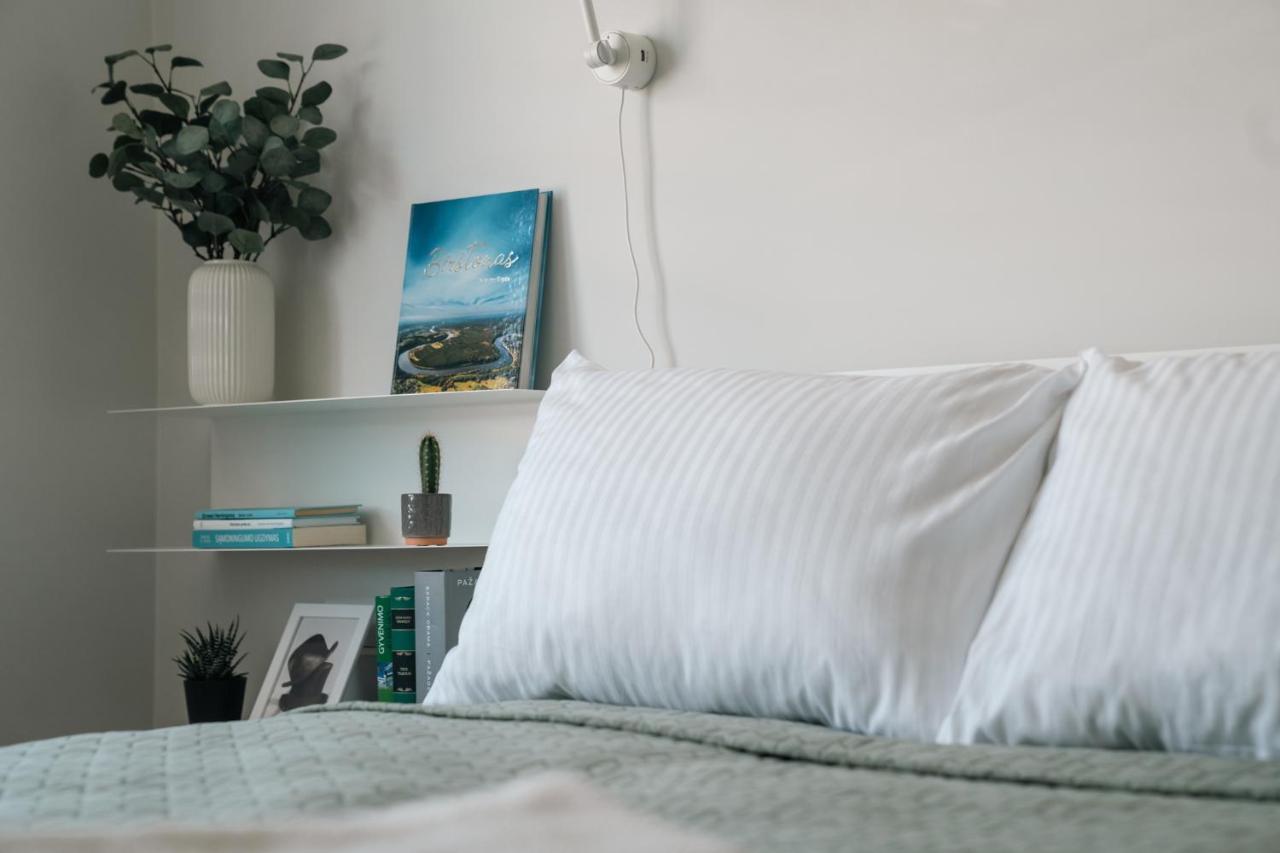 Grey Green Studio Apartment Birstonas Exterior photo